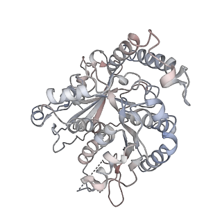 17187_8otz_QA_v1-0
48-nm repeat of the native axonemal doublet microtubule from bovine sperm