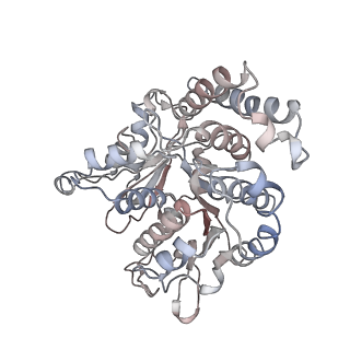 17187_8otz_QB_v1-0
48-nm repeat of the native axonemal doublet microtubule from bovine sperm