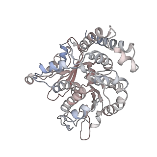 17187_8otz_QD_v1-0
48-nm repeat of the native axonemal doublet microtubule from bovine sperm