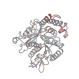 17187_8otz_QG_v1-0
48-nm repeat of the native axonemal doublet microtubule from bovine sperm