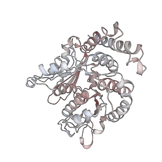 17187_8otz_QH_v1-0
48-nm repeat of the native axonemal doublet microtubule from bovine sperm