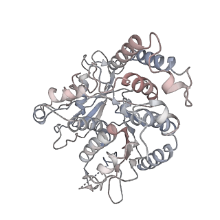 17187_8otz_QK_v1-0
48-nm repeat of the native axonemal doublet microtubule from bovine sperm