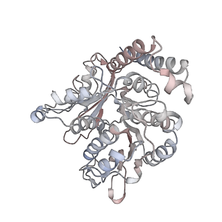 17187_8otz_QL_v1-0
48-nm repeat of the native axonemal doublet microtubule from bovine sperm