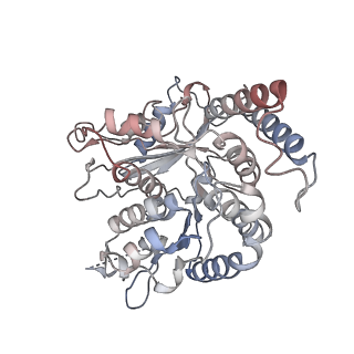17187_8otz_RA_v1-0
48-nm repeat of the native axonemal doublet microtubule from bovine sperm