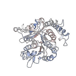 17187_8otz_RB_v1-0
48-nm repeat of the native axonemal doublet microtubule from bovine sperm