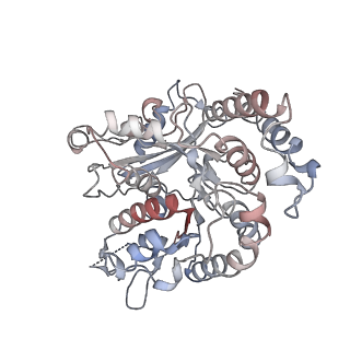 17187_8otz_RC_v1-0
48-nm repeat of the native axonemal doublet microtubule from bovine sperm