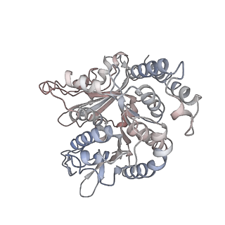 17187_8otz_RD_v1-0
48-nm repeat of the native axonemal doublet microtubule from bovine sperm