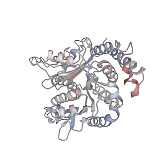 17187_8otz_RF_v1-0
48-nm repeat of the native axonemal doublet microtubule from bovine sperm