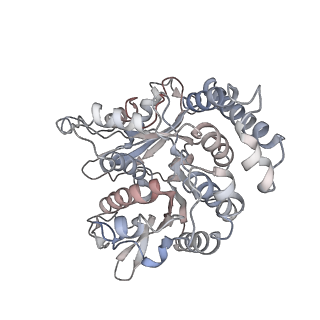 17187_8otz_RH_v1-0
48-nm repeat of the native axonemal doublet microtubule from bovine sperm