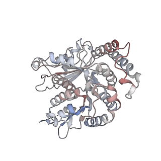 17187_8otz_RI_v1-0
48-nm repeat of the native axonemal doublet microtubule from bovine sperm