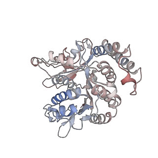 17187_8otz_RJ_v1-0
48-nm repeat of the native axonemal doublet microtubule from bovine sperm