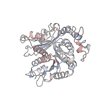 17187_8otz_RK_v1-0
48-nm repeat of the native axonemal doublet microtubule from bovine sperm
