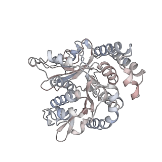 17187_8otz_RL_v1-0
48-nm repeat of the native axonemal doublet microtubule from bovine sperm