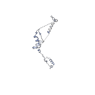 17187_8otz_R_v1-0
48-nm repeat of the native axonemal doublet microtubule from bovine sperm