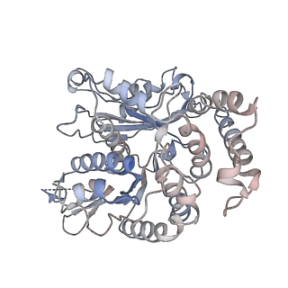 17187_8otz_SA_v1-0
48-nm repeat of the native axonemal doublet microtubule from bovine sperm