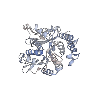 17187_8otz_SB_v1-0
48-nm repeat of the native axonemal doublet microtubule from bovine sperm