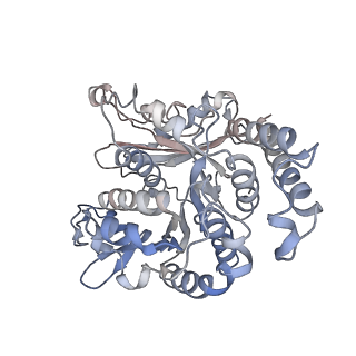 17187_8otz_SD_v1-0
48-nm repeat of the native axonemal doublet microtubule from bovine sperm