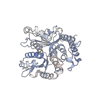 17187_8otz_SE_v1-0
48-nm repeat of the native axonemal doublet microtubule from bovine sperm