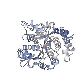 17187_8otz_SJ_v1-0
48-nm repeat of the native axonemal doublet microtubule from bovine sperm