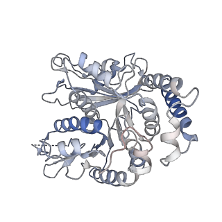 17187_8otz_SM_v1-0
48-nm repeat of the native axonemal doublet microtubule from bovine sperm