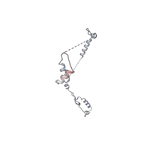 17187_8otz_S_v1-0
48-nm repeat of the native axonemal doublet microtubule from bovine sperm