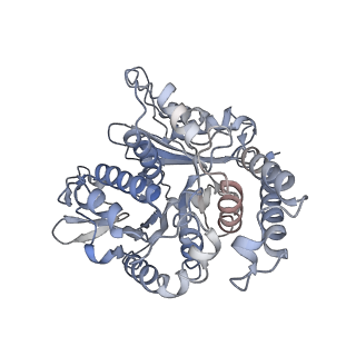 17187_8otz_TB_v1-0
48-nm repeat of the native axonemal doublet microtubule from bovine sperm