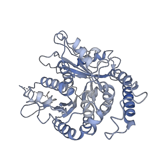 17187_8otz_TC_v1-0
48-nm repeat of the native axonemal doublet microtubule from bovine sperm