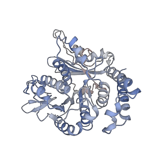 17187_8otz_TD_v1-0
48-nm repeat of the native axonemal doublet microtubule from bovine sperm