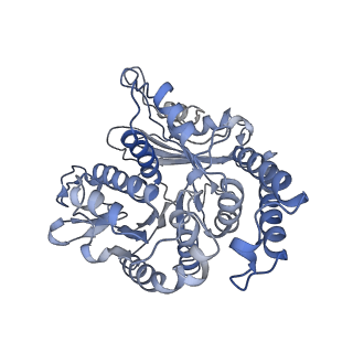 17187_8otz_TF_v1-0
48-nm repeat of the native axonemal doublet microtubule from bovine sperm