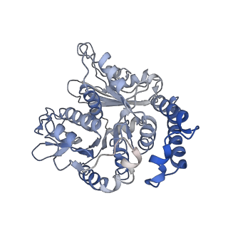 17187_8otz_TH_v1-0
48-nm repeat of the native axonemal doublet microtubule from bovine sperm