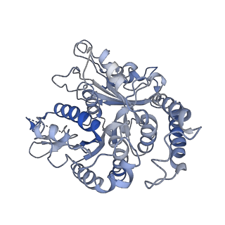 17187_8otz_TI_v1-0
48-nm repeat of the native axonemal doublet microtubule from bovine sperm