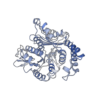 17187_8otz_TL_v1-0
48-nm repeat of the native axonemal doublet microtubule from bovine sperm