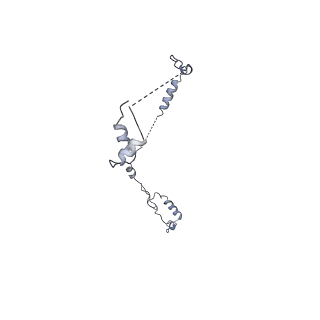 17187_8otz_T_v1-0
48-nm repeat of the native axonemal doublet microtubule from bovine sperm