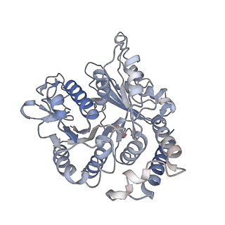 17187_8otz_UB_v1-0
48-nm repeat of the native axonemal doublet microtubule from bovine sperm