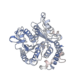 17187_8otz_UD_v1-0
48-nm repeat of the native axonemal doublet microtubule from bovine sperm