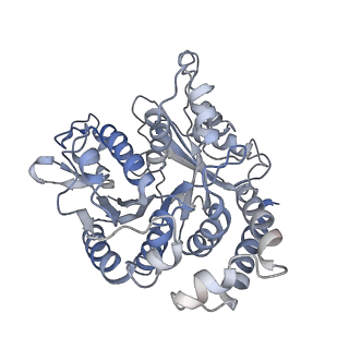17187_8otz_UF_v1-0
48-nm repeat of the native axonemal doublet microtubule from bovine sperm