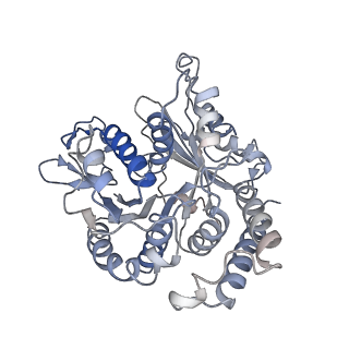 17187_8otz_UH_v1-0
48-nm repeat of the native axonemal doublet microtubule from bovine sperm