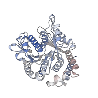 17187_8otz_UJ_v1-0
48-nm repeat of the native axonemal doublet microtubule from bovine sperm