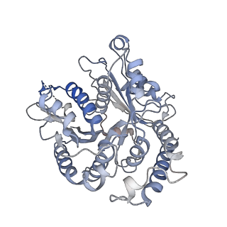 17187_8otz_UM_v1-0
48-nm repeat of the native axonemal doublet microtubule from bovine sperm