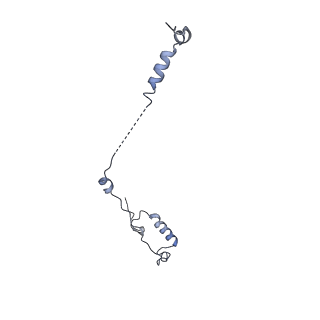 17187_8otz_U_v1-0
48-nm repeat of the native axonemal doublet microtubule from bovine sperm