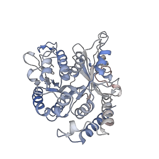 17187_8otz_VD_v1-0
48-nm repeat of the native axonemal doublet microtubule from bovine sperm