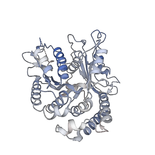 17187_8otz_VI_v1-0
48-nm repeat of the native axonemal doublet microtubule from bovine sperm