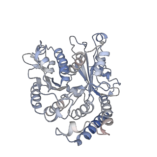 17187_8otz_VK_v1-0
48-nm repeat of the native axonemal doublet microtubule from bovine sperm