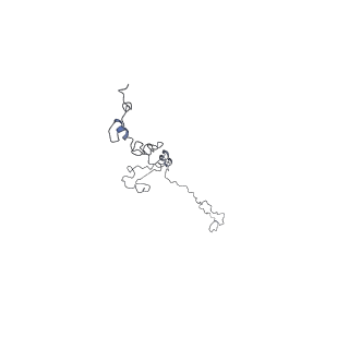 17187_8otz_V_v1-0
48-nm repeat of the native axonemal doublet microtubule from bovine sperm