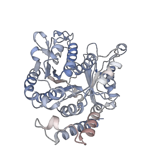17187_8otz_WB_v1-0
48-nm repeat of the native axonemal doublet microtubule from bovine sperm
