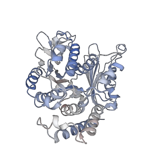 17187_8otz_WD_v1-0
48-nm repeat of the native axonemal doublet microtubule from bovine sperm