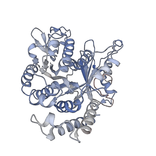 17187_8otz_WJ_v1-0
48-nm repeat of the native axonemal doublet microtubule from bovine sperm