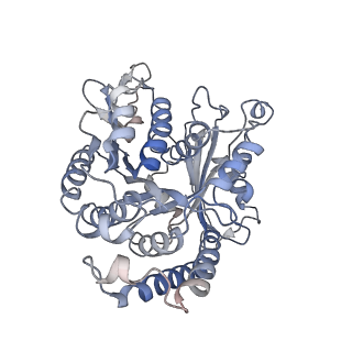 17187_8otz_WK_v1-0
48-nm repeat of the native axonemal doublet microtubule from bovine sperm