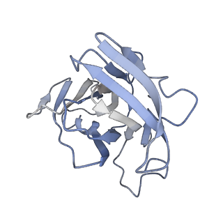17187_8otz_XH_v1-0
48-nm repeat of the native axonemal doublet microtubule from bovine sperm