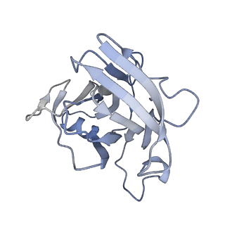 17187_8otz_XI_v1-0
48-nm repeat of the native axonemal doublet microtubule from bovine sperm